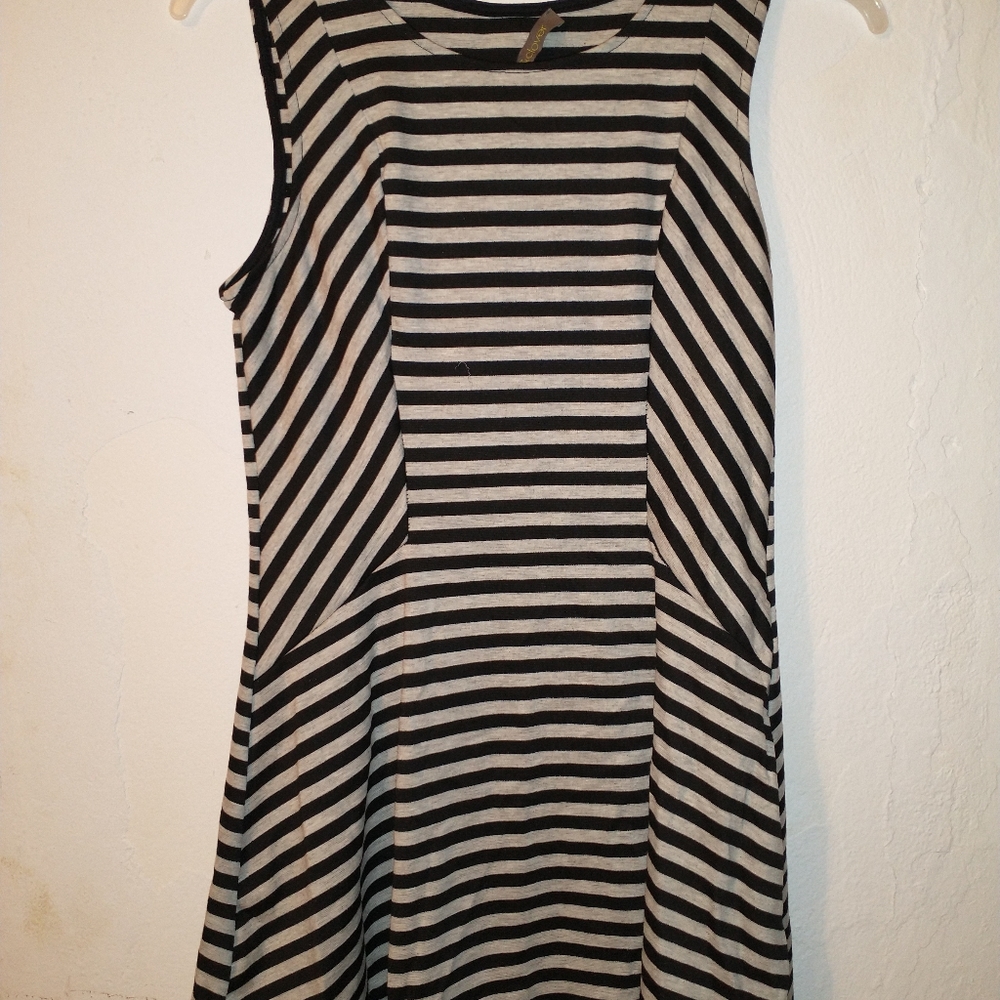Finn & Clover lines pattern dress